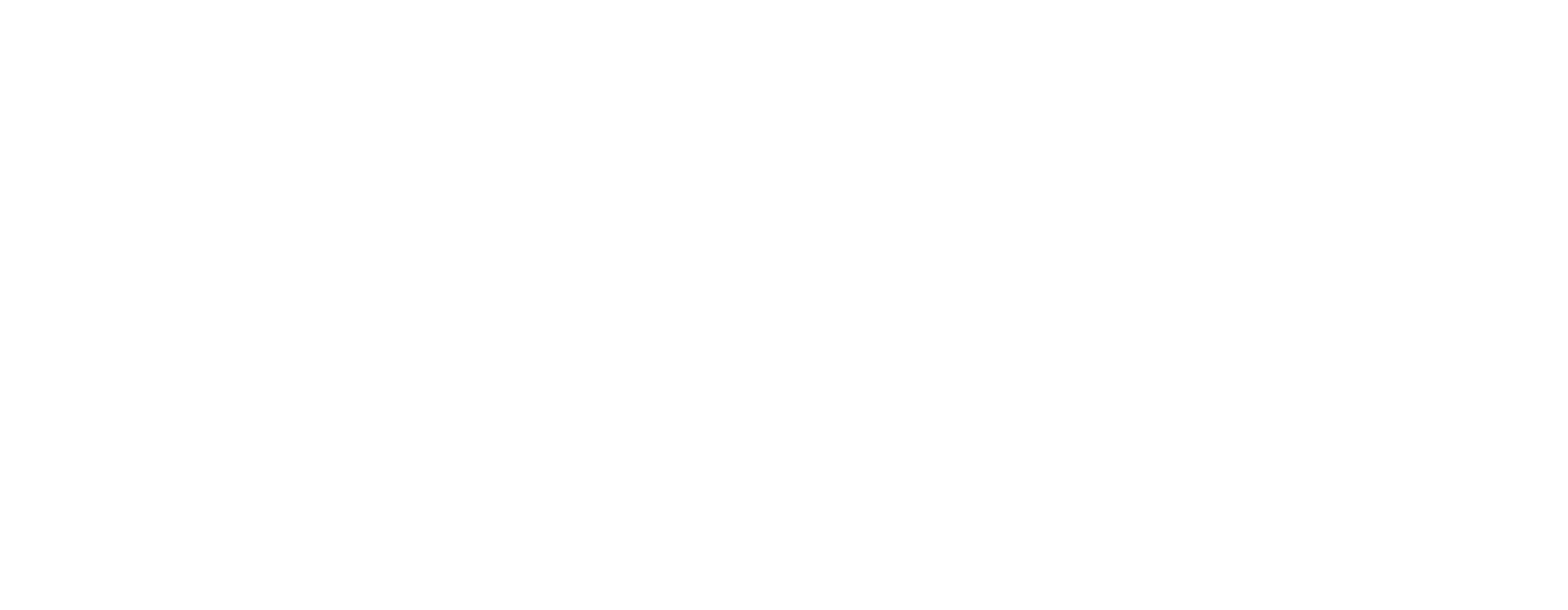 Schulden Preventie Register